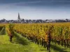 Saint-Nicolas-de-Bourgueil