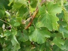 IMG_20220903_163512
