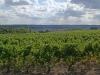 IMG_20220903_164810