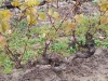 IMG_20231118_111442