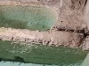 1746306345608