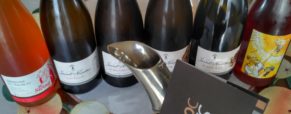 Commentaires de dégustation Domaine Saint Nicolas, Fiefs Vendéen