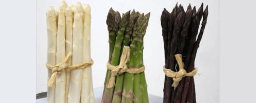Les Asperges et leurs accords (par les 5 du vin)